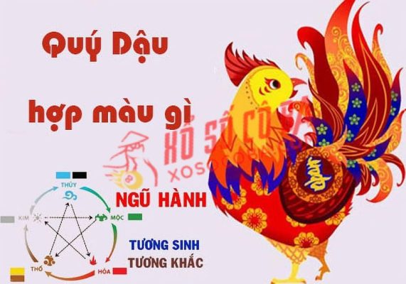 quý dậu hợp màu gì