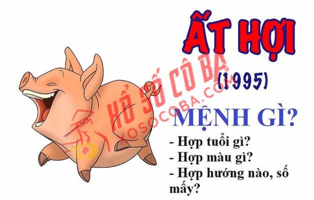 màu gì đem lại may mắn cho người sinh năm 1995