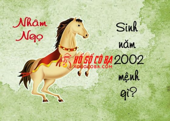 nhâm ngọ 2002 hợp với tuổi nào nhất