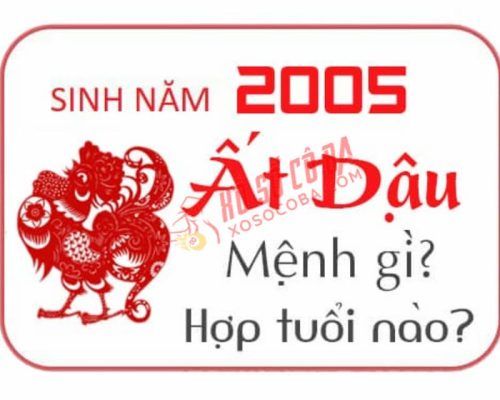 tử vi nam tuổi ất dậu