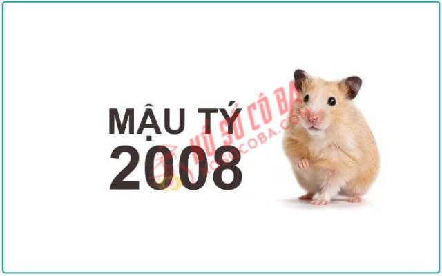 những màu sắc tương sinh tương khắc với người sinh năm 2008